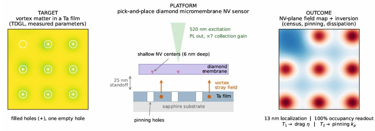 Three-panel figure: simulated vortex matter in a patterned tantalum film, a pick-and-place diamond micromembrane carrying shallow nitrogen-vacancy centers above the film, and the reconstructed nitrogen-vacancy plane field map.