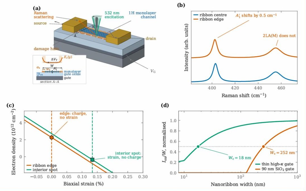 Tip-enhanced Raman measurement of a monolayer nanoribbon transistor, spectra comparing ribbon center and edge, a plot separating edge charge from edge strain, and normalized on-current versus nanoribbon width for two gate stacks.