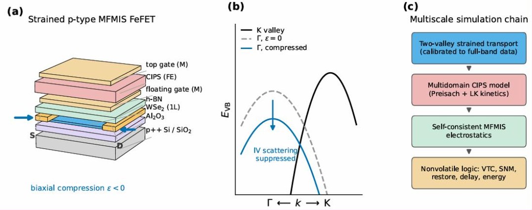 Strained p-type MFMIS ferroelectric field-effect transistor stack with monolayer WSe2 channel and CuInP2S6 gate, a valence-band diagram showing suppressed intervalley scattering under compression, and the multiscale simulation chain.